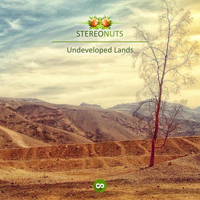 Undeveloped Lands By Stereo Nuts's cover