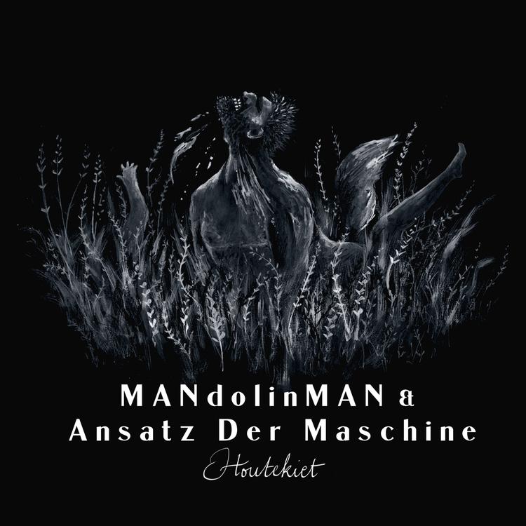 MandolinMan's avatar image