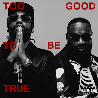 Too Good To Be True's cover