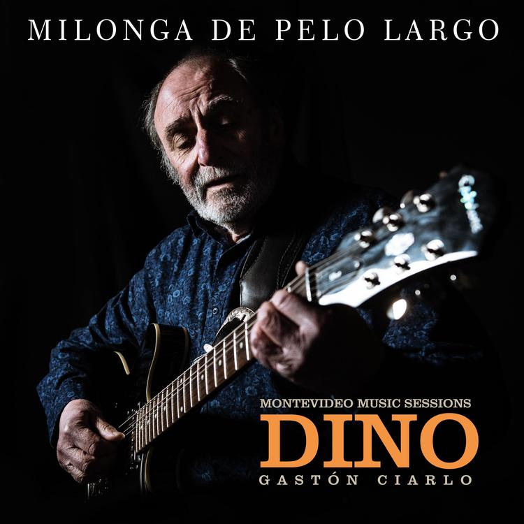 Dino Gastón Ciarlo's avatar image