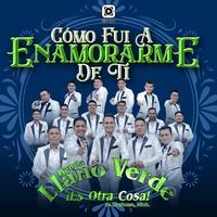 Banda Llano Verde's avatar cover