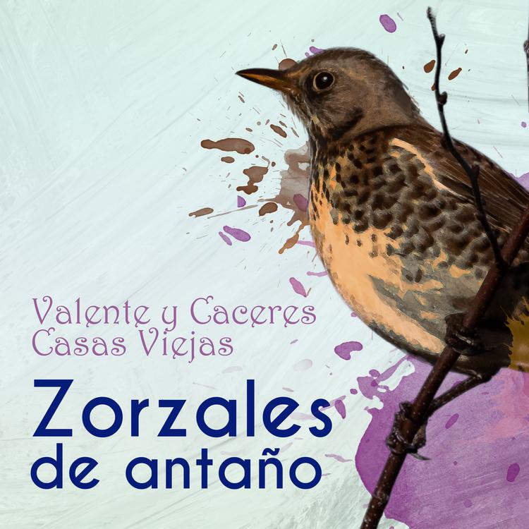 Valente y Cáceres's avatar image