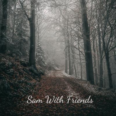 The Story's Not Over By Sam With Friends's cover