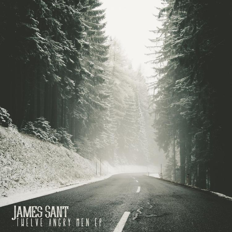 James Sant's avatar image
