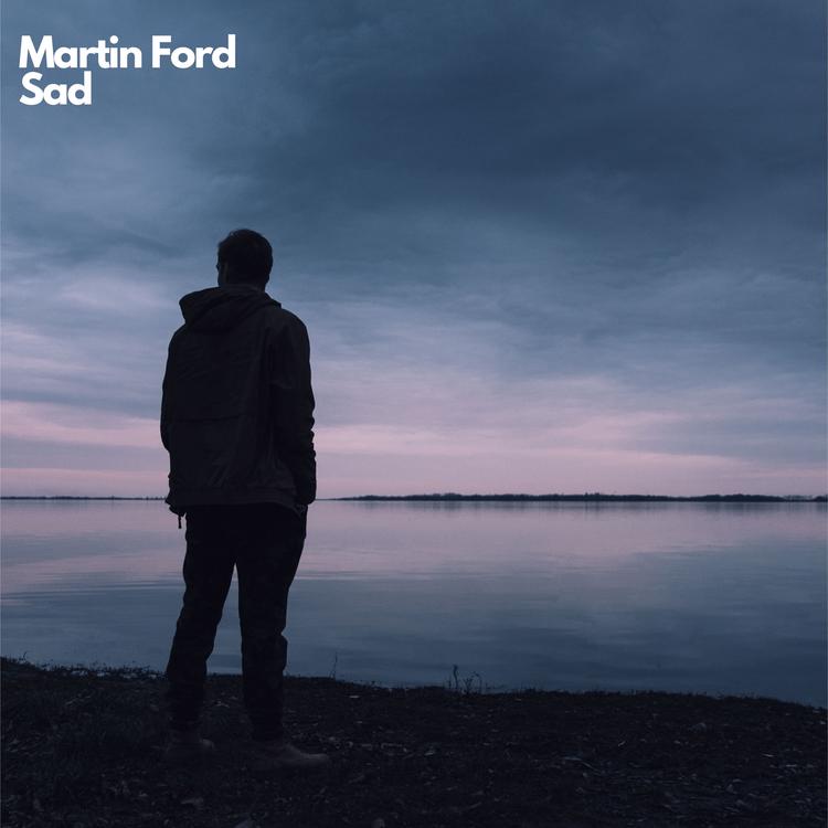 Martin Ford's avatar image