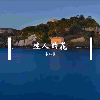 李勤萱's cover