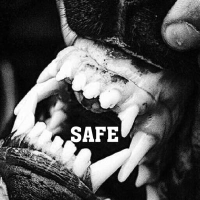 SAFE's cover