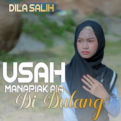 Usah Manapiak Aia Di Dulang's cover