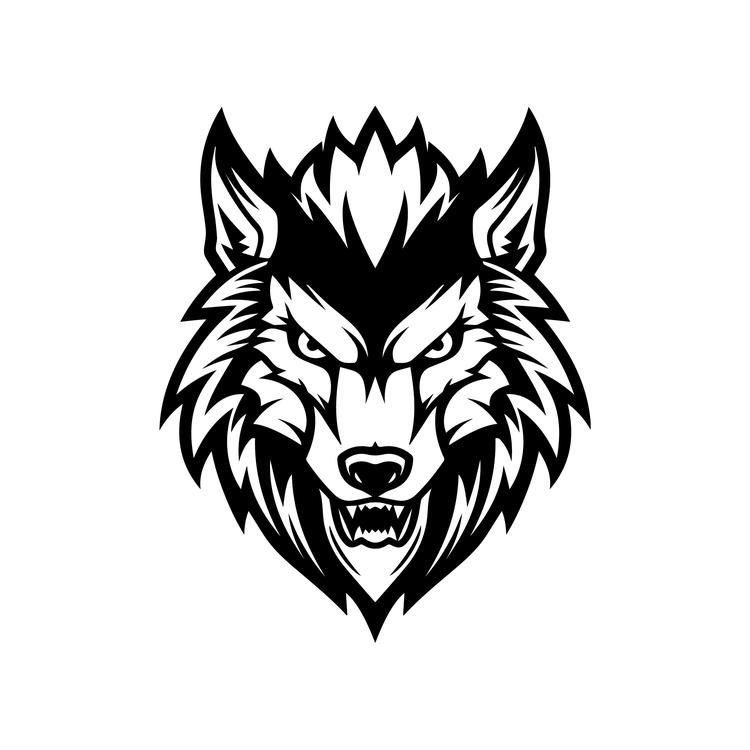 black wolf's avatar image