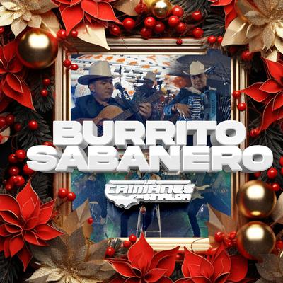 Burrito Sabanero (En Vivo)'s cover