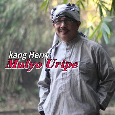 Kang Herry's cover