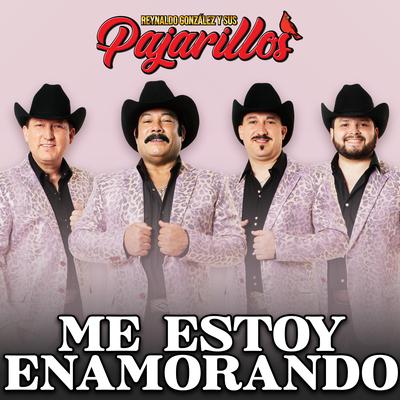 Reynaldo González y Sus Pajarillos's cover