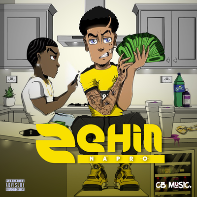 Zehin's cover