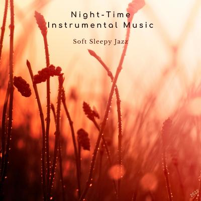 Night-Time Instrumental Music's cover