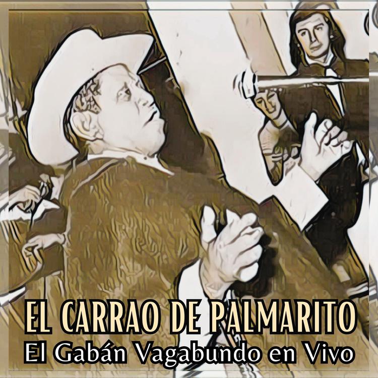 El Carrao de Palmarito's avatar image