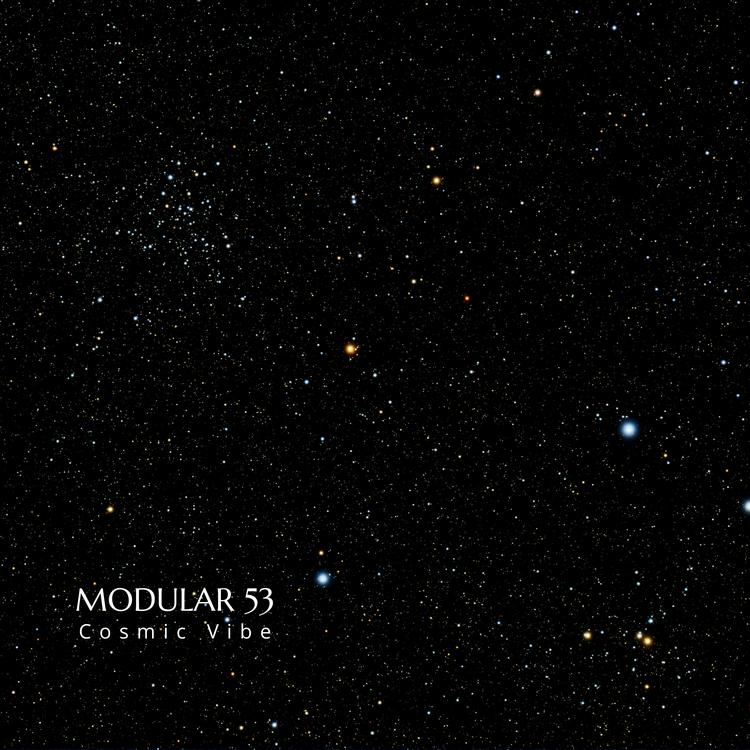 Modular 53's avatar image