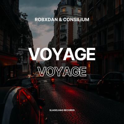 Voyage Voyage (Techno Remix) By RobxDan, Consilium's cover