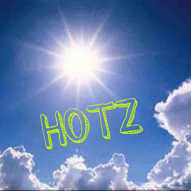 Hotz DJ's avatar image