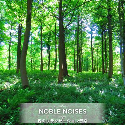 Noble Noises's cover