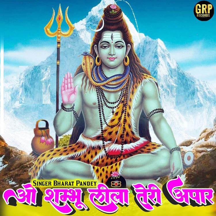 Bharat Pandey's avatar image