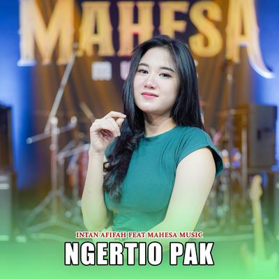 Ngertio Pak's cover