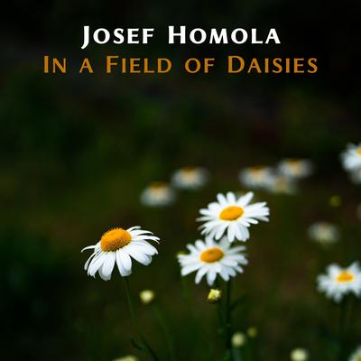 In a Field of Daisies's cover