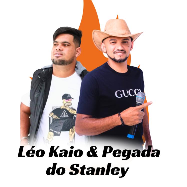 Leo Kaio Pegada do Stanley's avatar image
