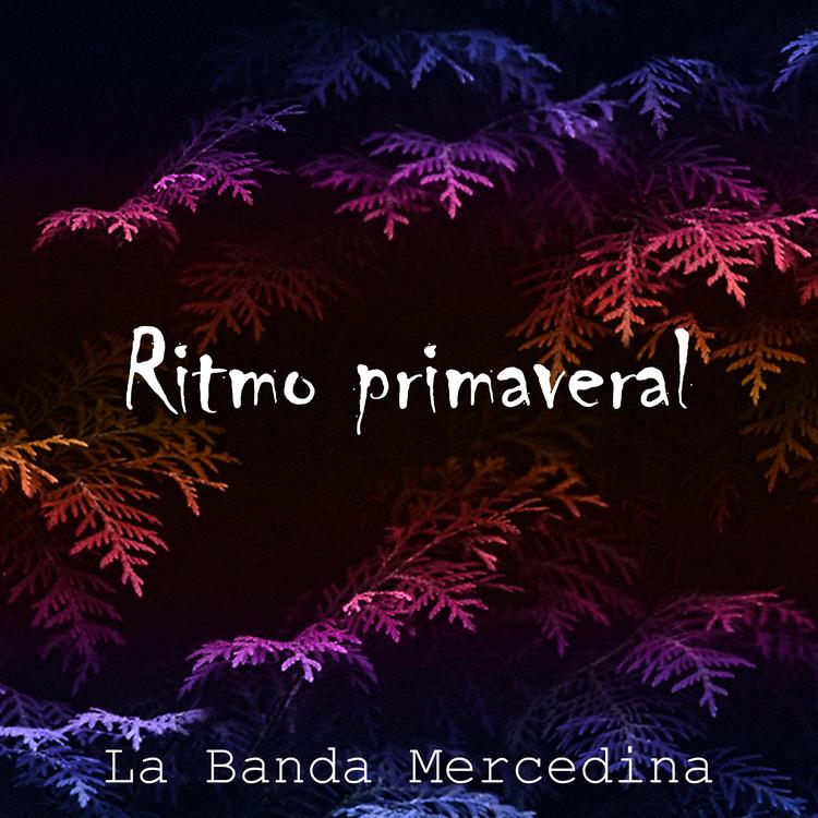 La Banda Mercedina's avatar image