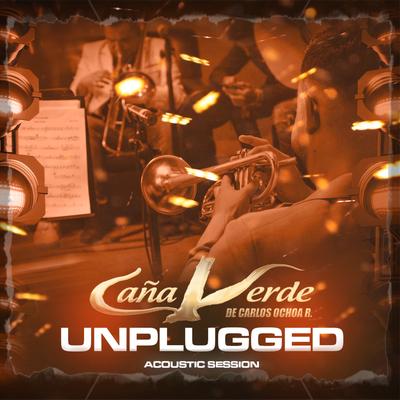 Unplugged Acoustic Session's cover