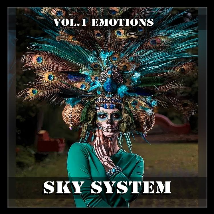 Sky System's avatar image