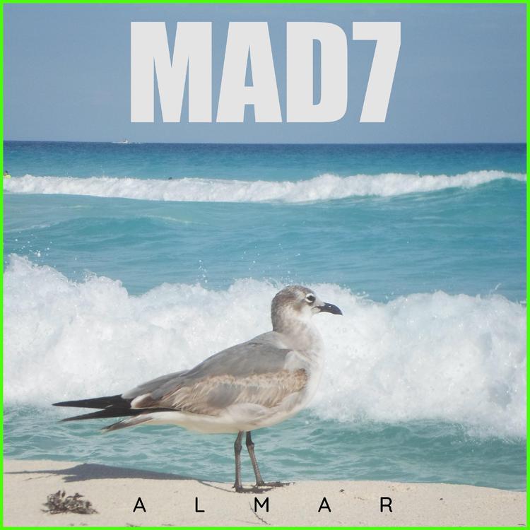 MAD7's avatar image