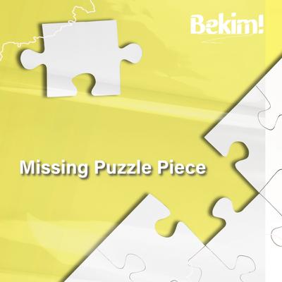 Missing Puzzle Piece By Bekim!'s cover