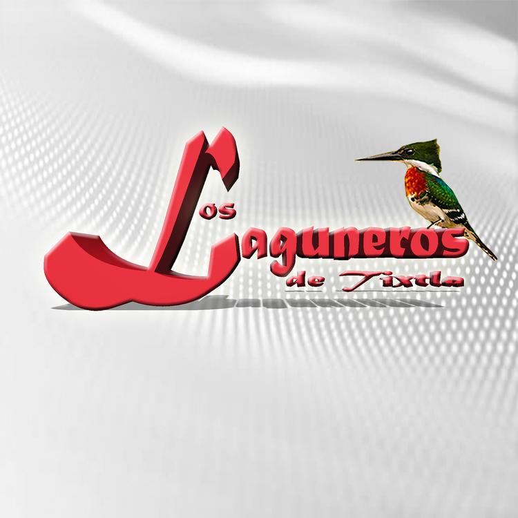 Los Laguneros de Tixtla's avatar image