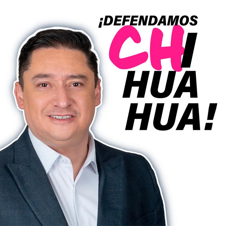 alfredo chavez's avatar image