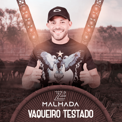 Vaqueiro Testado By Zé Malhada, Os Feras do Pizeiro's cover