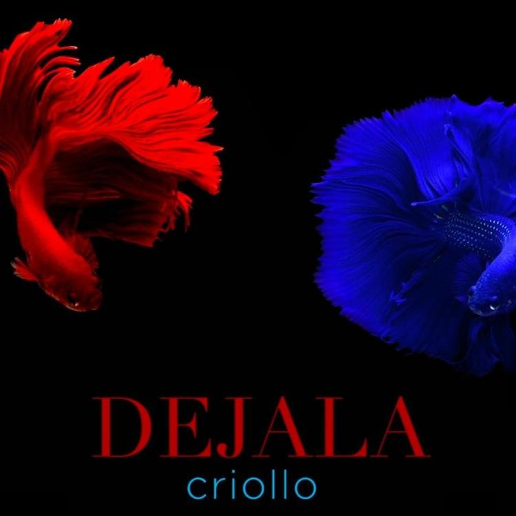 Criollo's avatar image