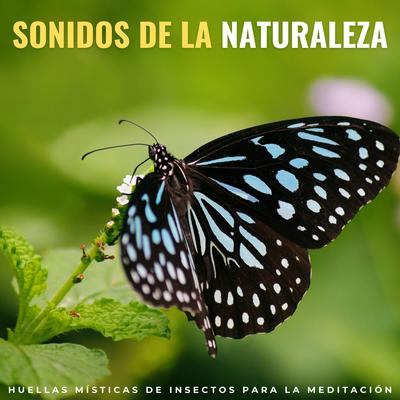 Sonidos De La Naturaleza: Huellas Místicas De Insectos Para La Meditación's cover