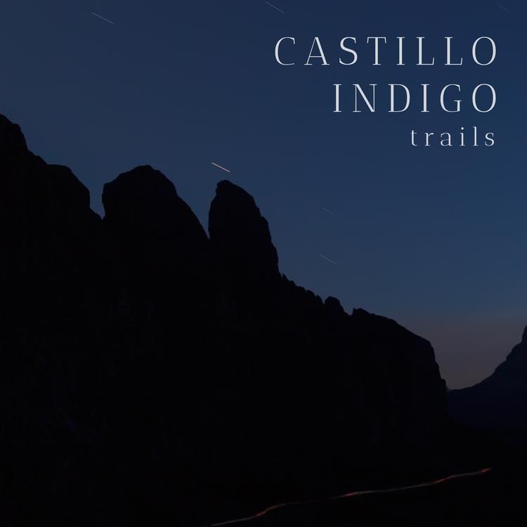 Castillo Indigo's avatar image