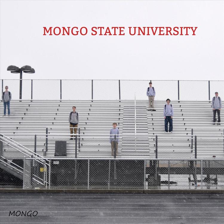 Mongo's avatar image