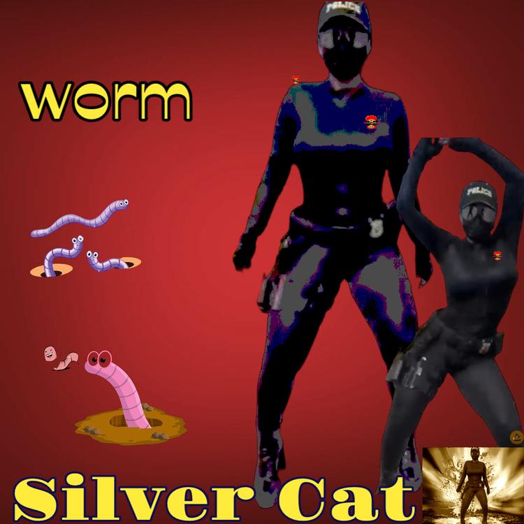 Silver Cat's avatar image