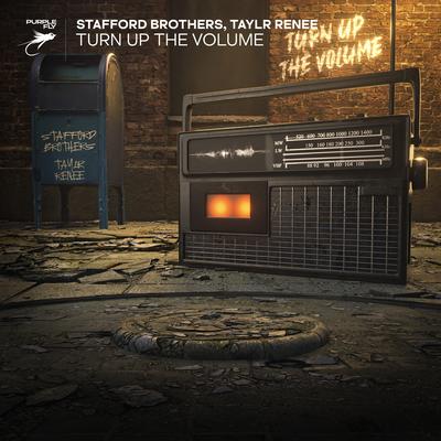 Turn Up The Volume By Stafford Brothers, Taylr Renee's cover