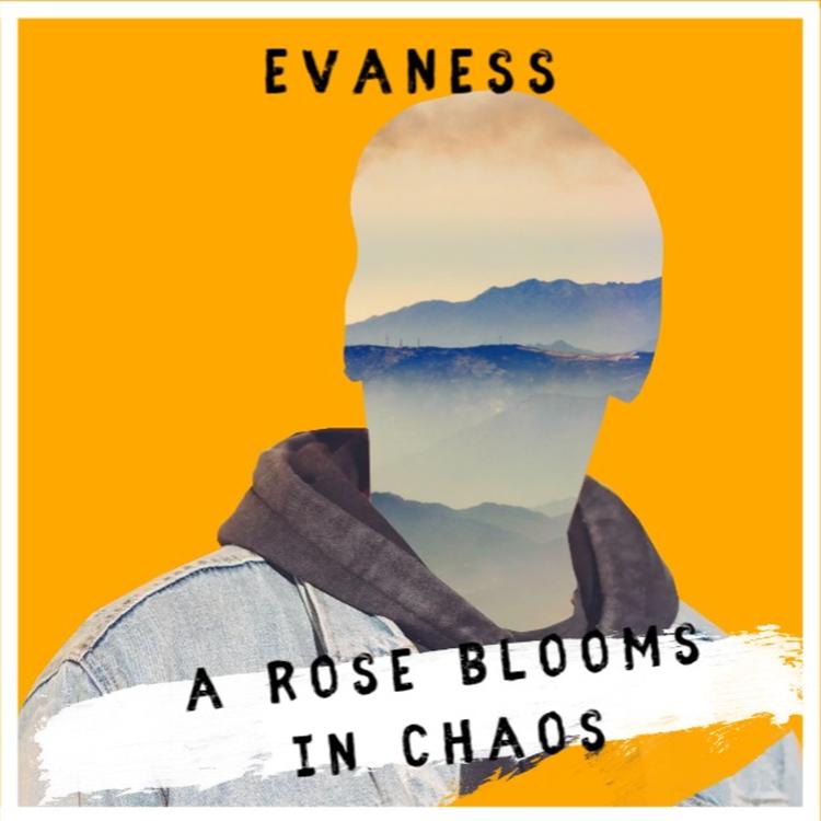 evaness's avatar image