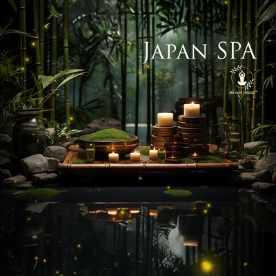 Spa Music Paradise's cover