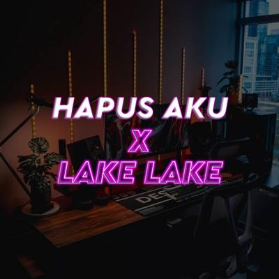 Dj Hapus aku x Lake lake By Kang Bidin's cover