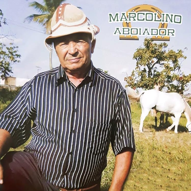 Marcolino Aboiador's avatar image