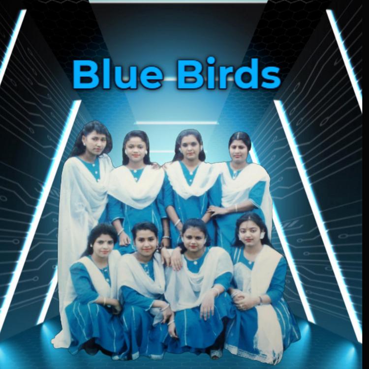 Blue Birds Band's avatar image