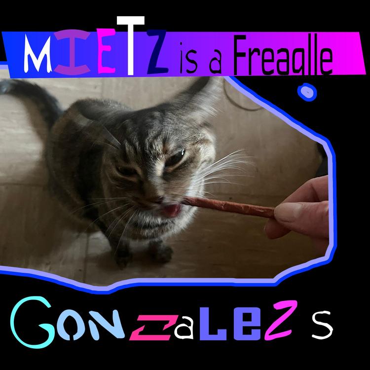 Gonzalez S's avatar image