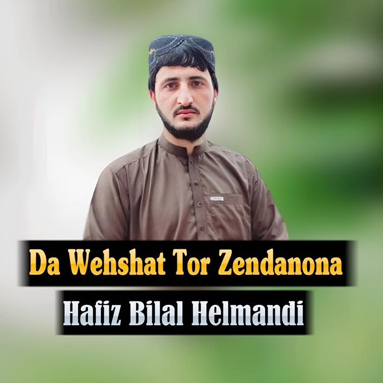 Hafiz Bilal Helmandi's avatar image