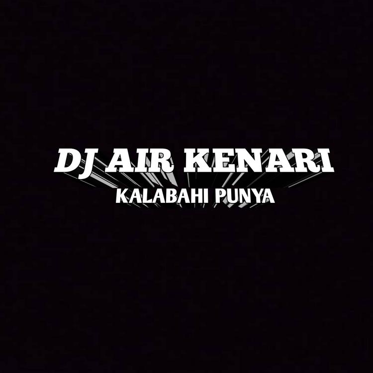 DJ AIR KENARI's avatar image