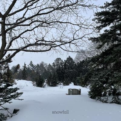 snowfall's cover